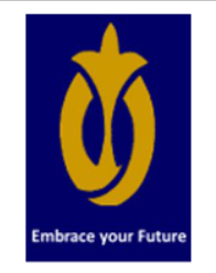 Flavius Logo