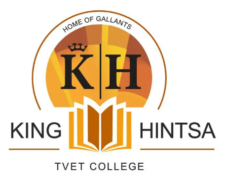 Hintsa Logo