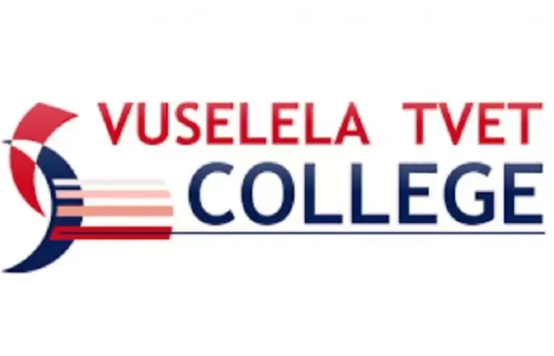 Vuselela Logo